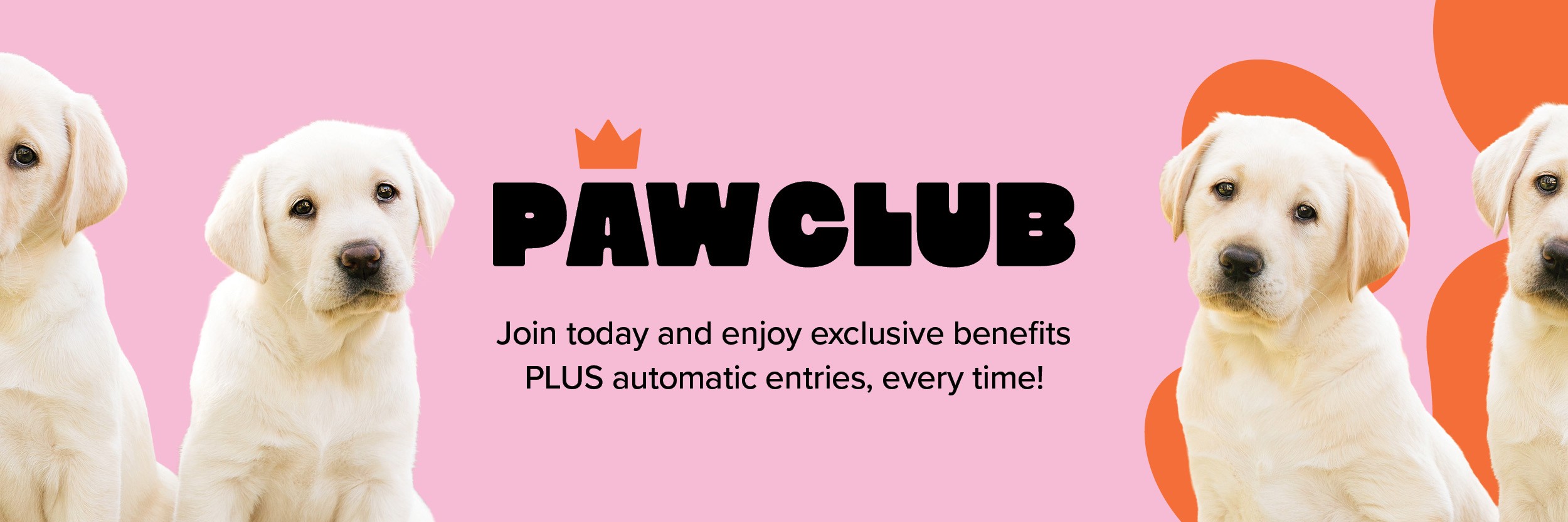 Become a Paw Club member today